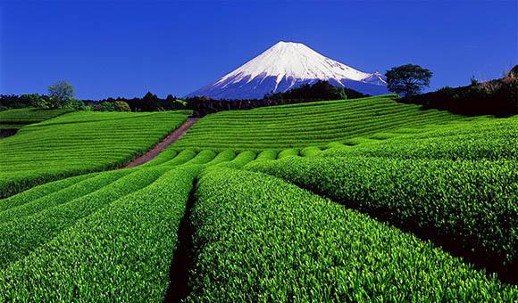 图片默认标题_fororder_66