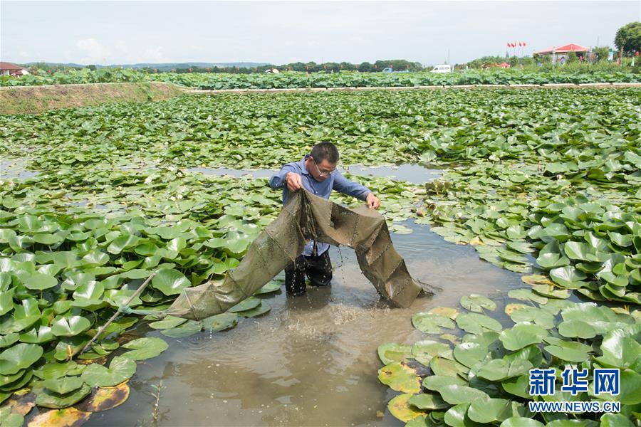 美丽乡村游