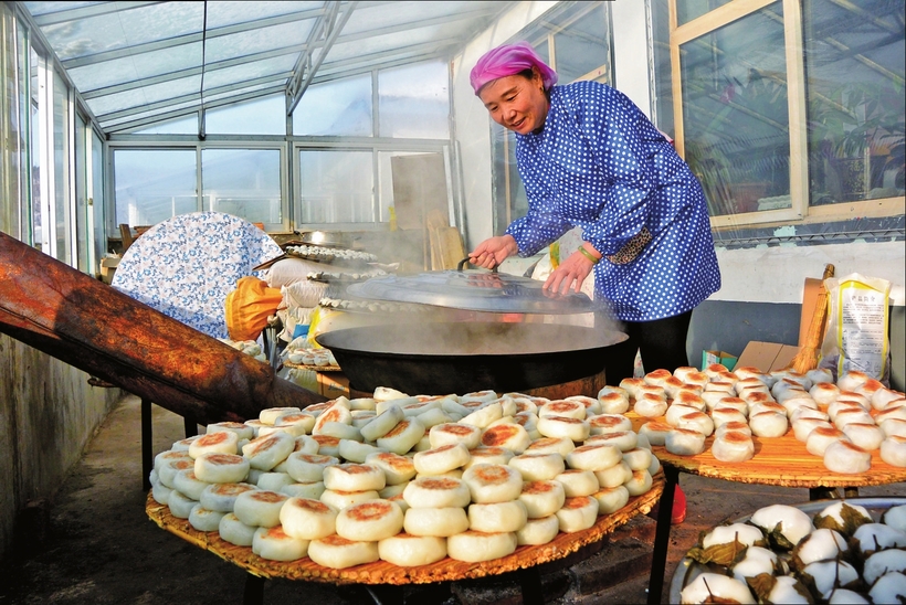 白山市建設中國綠色有機谷·長白山森林食藥城走筆