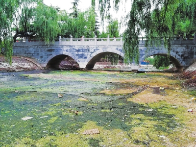 【环保-文字列表】【移动端-文字列表】汴京公园这条景观河该治理了