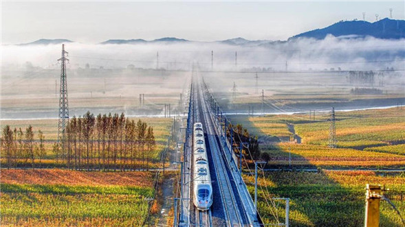 幸福“礼包"来袭，快来看看今天的哈尔滨路桥……