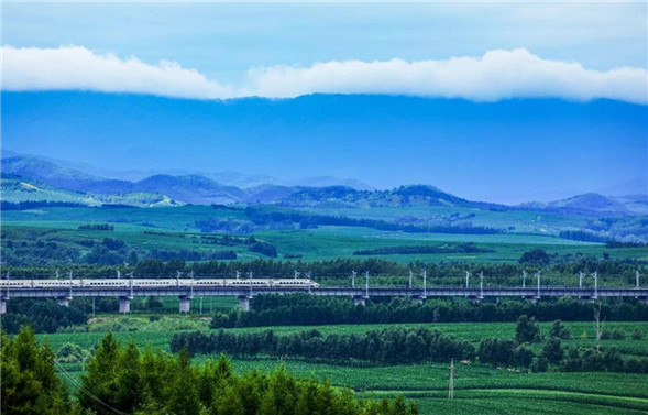 幸福“礼包"来袭，快来看看今天的哈尔滨路桥……