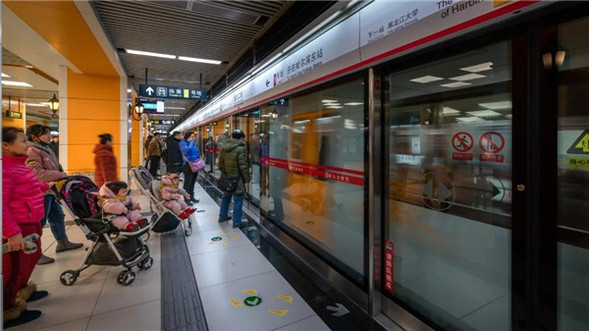 幸福“礼包"来袭，快来看看今天的哈尔滨路桥……