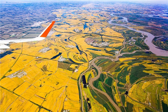 幸福“礼包"来袭，快来看看今天的哈尔滨路桥……