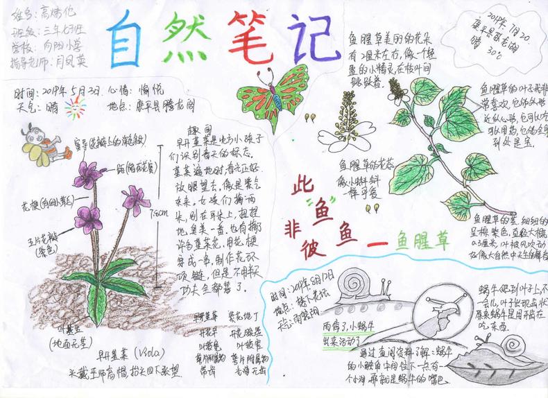 手繪夢想匯聚希望 瀋陽市青少年自然筆記大賽二等獎作品揭曉
