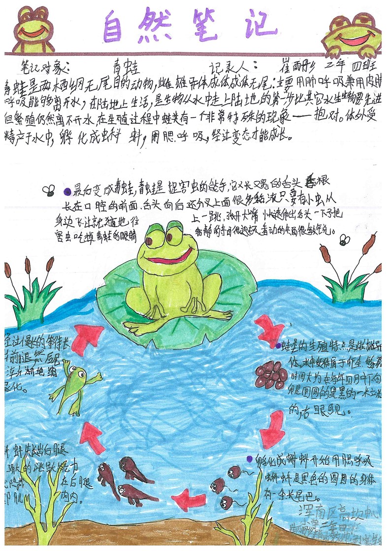 手繪夢想匯聚希望 瀋陽市青少年自然筆記大賽二等獎作品揭曉