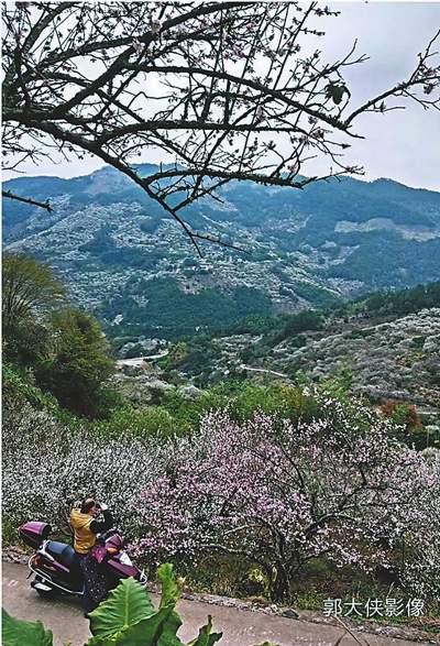 【旅游 主推】福建推进美丽乡村建设如何避免“跑偏”