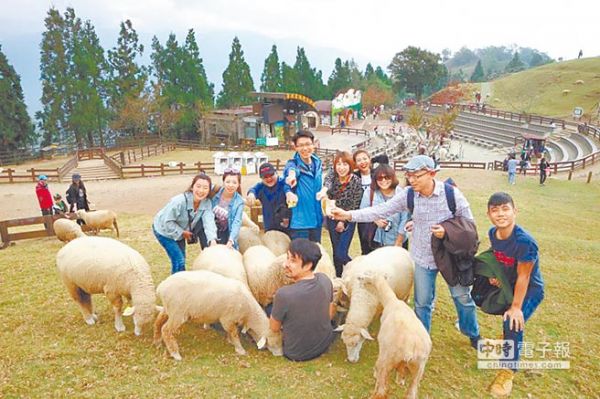 臺當局增大陸赴臺自由行配額 旅游業(yè)者:本來也用不完