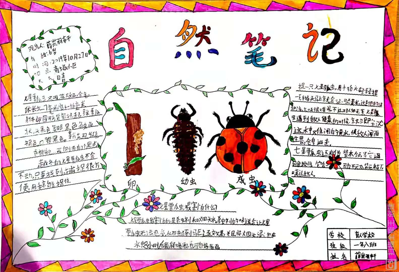 30名瀋陽青少年榮獲自然筆記大賽三等獎