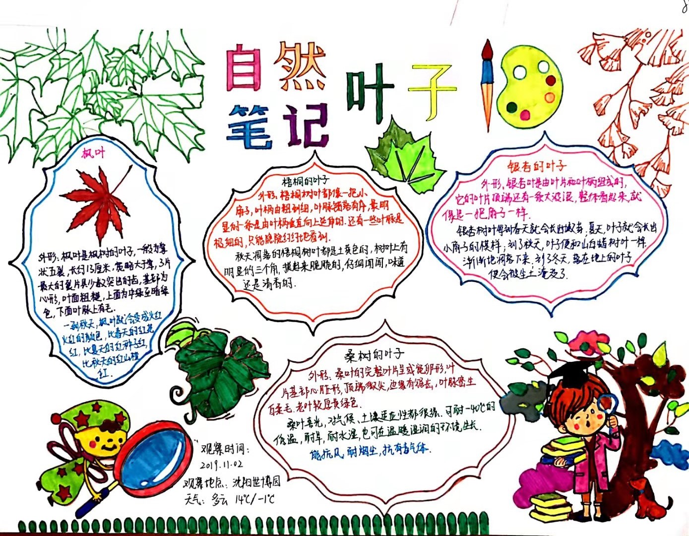 30名瀋陽青少年榮獲自然筆記大賽三等獎