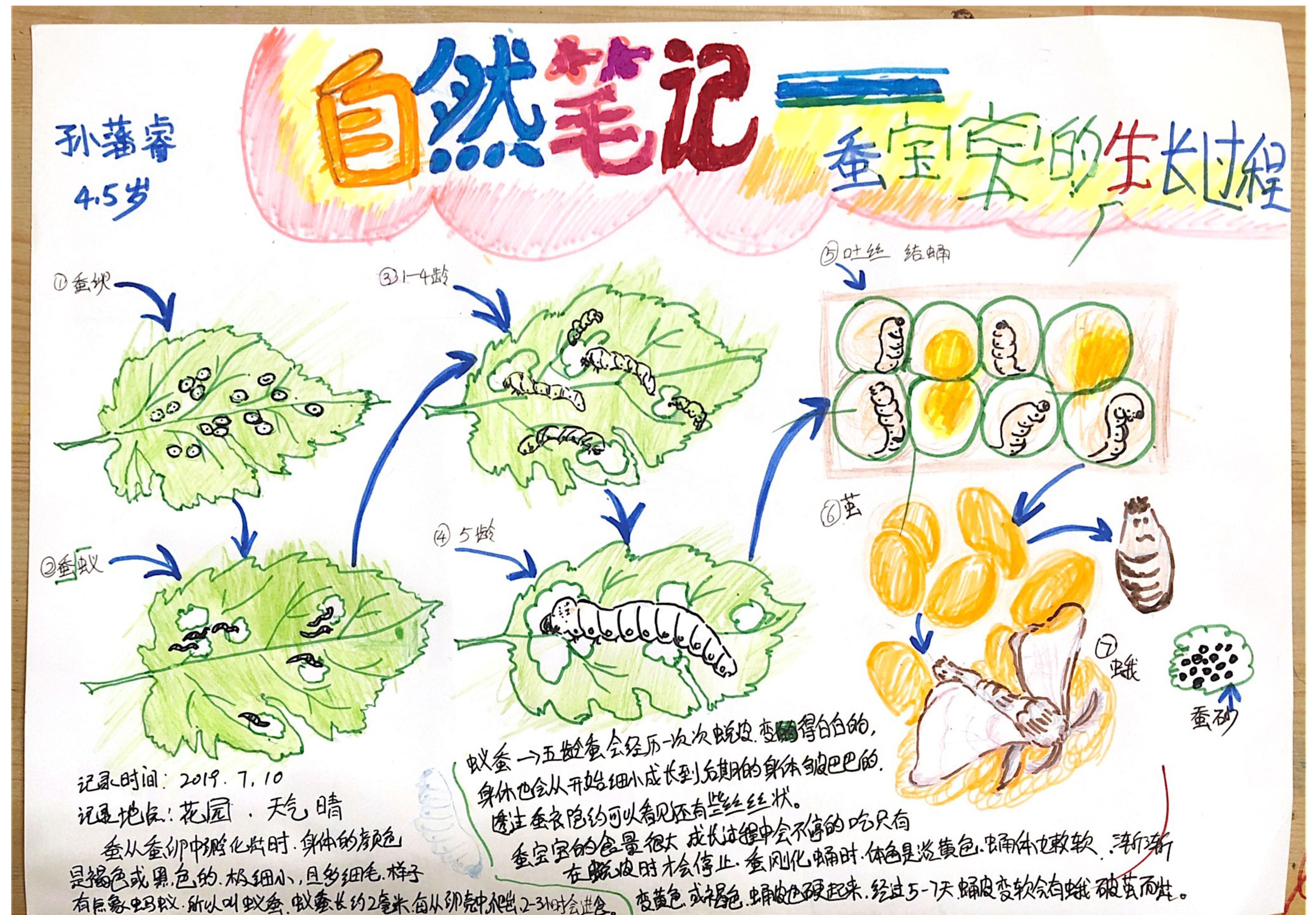 30名瀋陽青少年榮獲自然筆記大賽三等獎