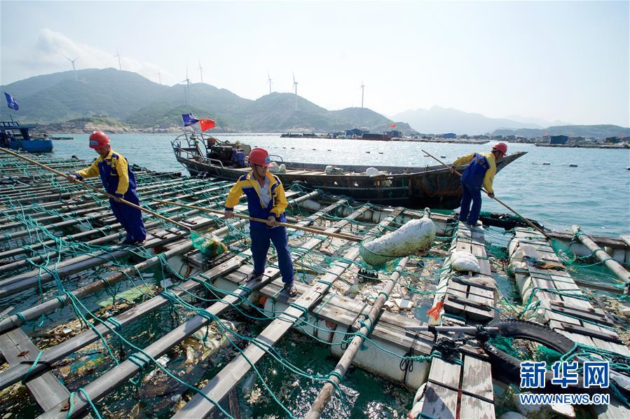 【高清图6】世界海洋日：保护和可持续利用海洋