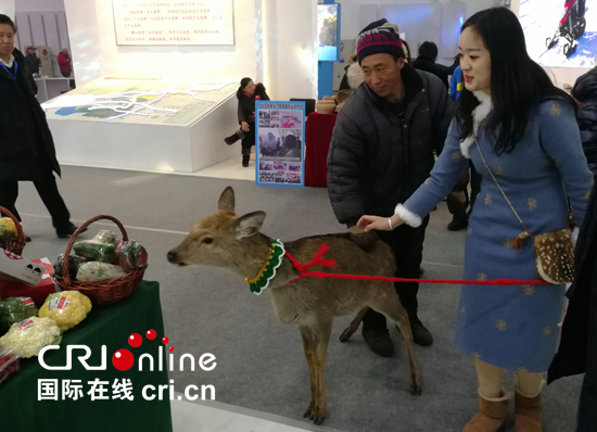 01【吉林】【原創】第四屆吉林冰雪産業博覽會暨第二十三屆長春冰雪旅遊節啟幕