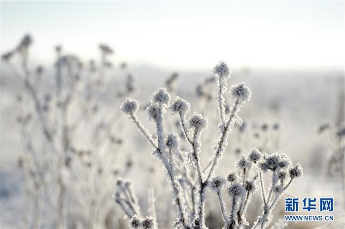 图片默认标题_fororder_5