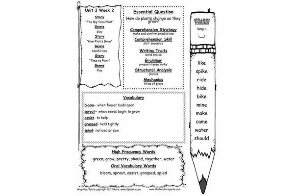 5岁开始培养大学能力，美国老师上课到底有哪些套路