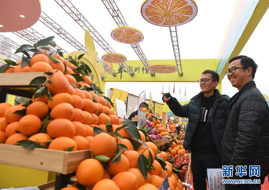 重慶奉節國際橙博會開幕