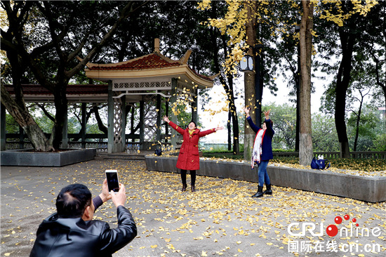 【CRI專稿 列表】枇杷山公園：珍藏著“老重慶”記憶的城市公園