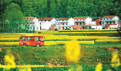 坐着公交，穿越城市风景线