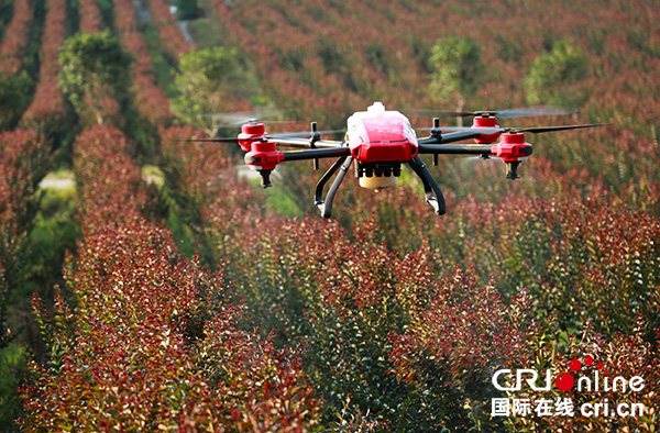 广安华蓥山区农民防病杀虫用上无人机