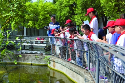 小学生边走边学调查长江沿线生态