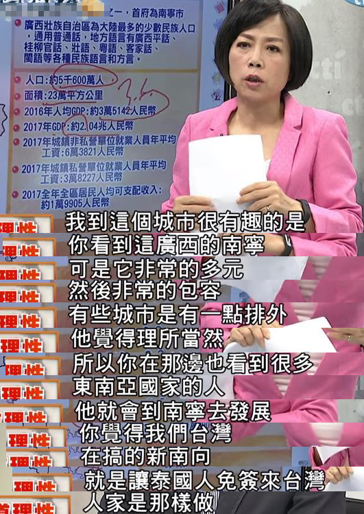 与其靠民进党不如自救 台商挺进南宁探商机