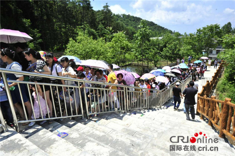 湖北巴東野三關鎮森林花海開園