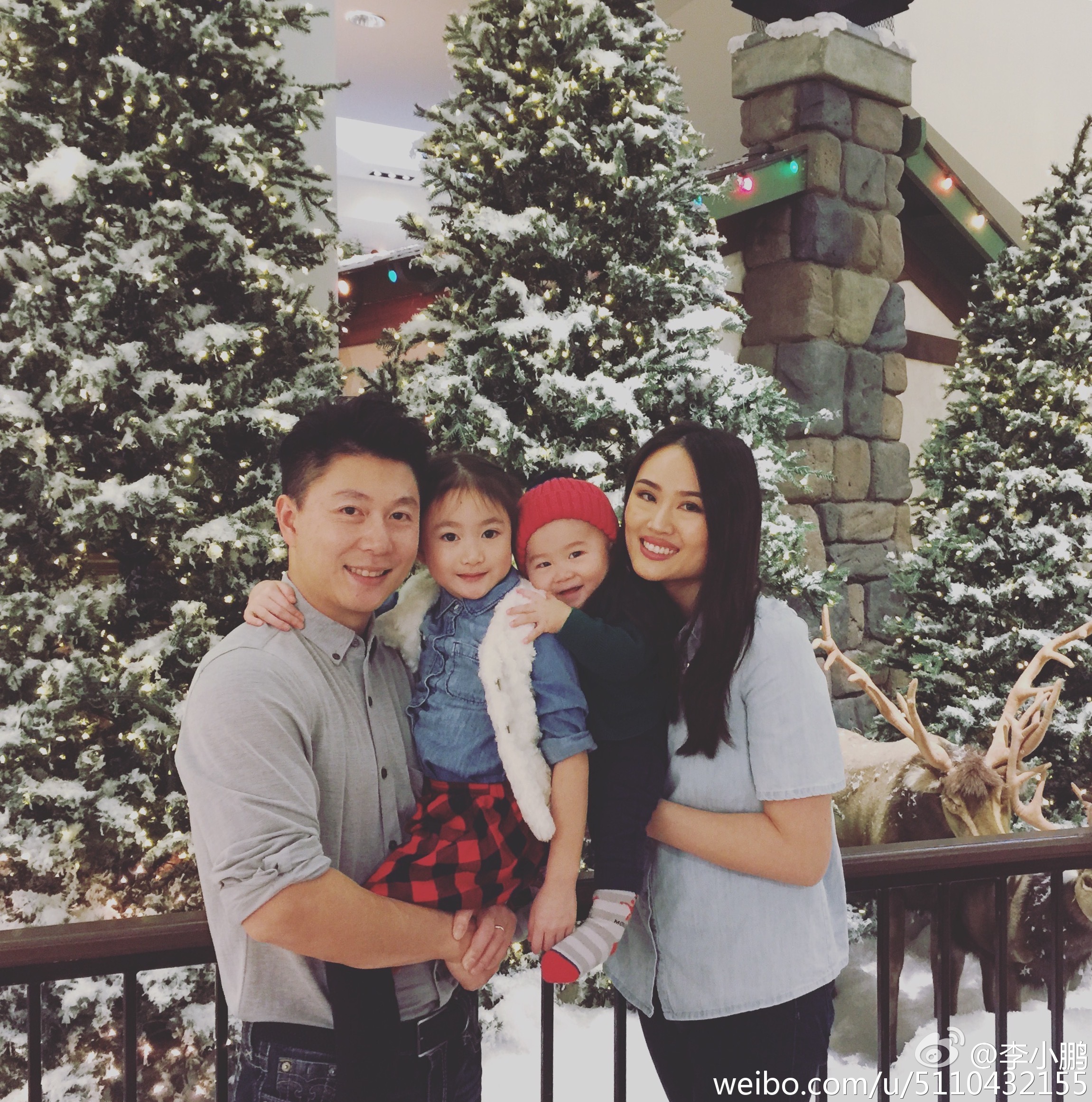 照片中,李小鹏抱着女儿奥莉,李安琪抱着儿子,一家四口依偎在圣诞树前