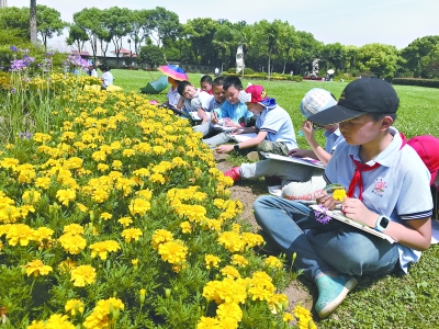 树、花都是观察对象 小学生做自然笔记成习惯