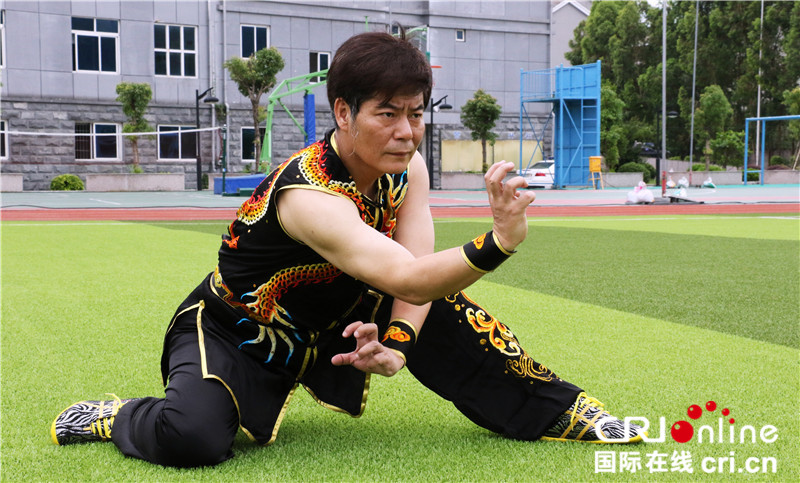 地术拳传承人陈伟强:传承拳法更重要的是传承拳法文化