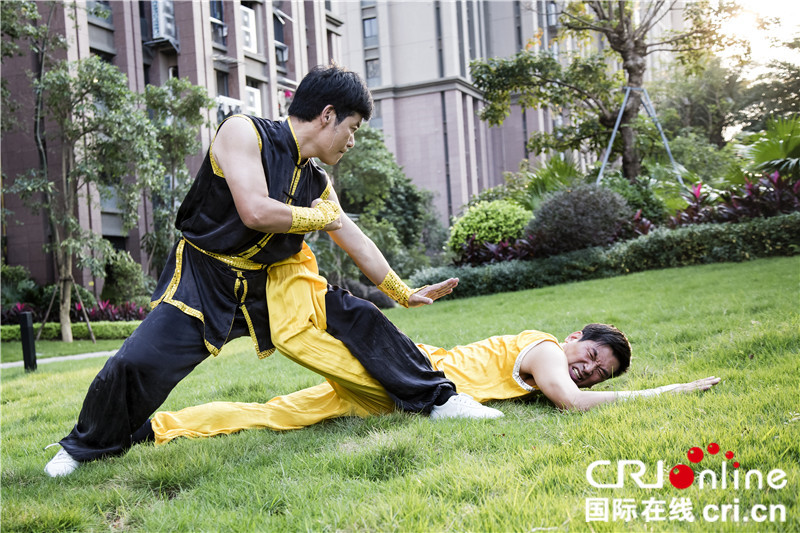 地术拳传承人陈伟强:传承拳法更重要的是传承拳法文化