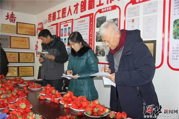 顺平县举办首届草莓品鉴大会