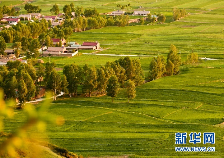 甘肃：夏日祁连山乡村美景如画