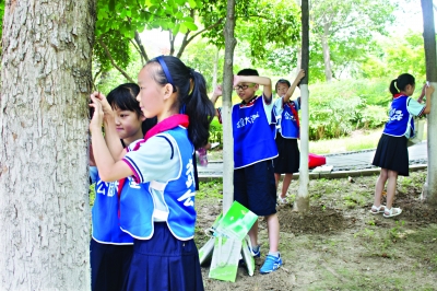 武汉首批“小树长”竞选上岗 研学旅行中普查公园树木