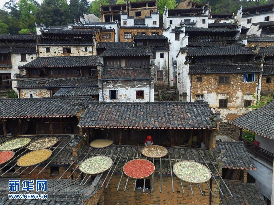 四季美丽中国——春