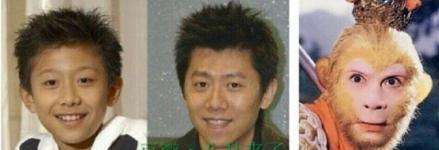 有网友对明星的脸型进行分类 看完我竟无言以对