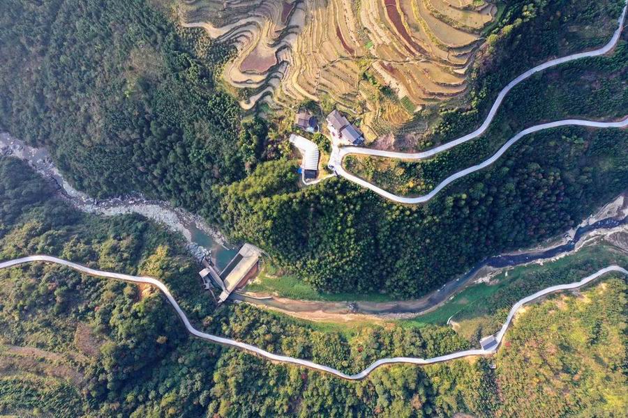 深山養蜂人“釀出”致富甜蜜路