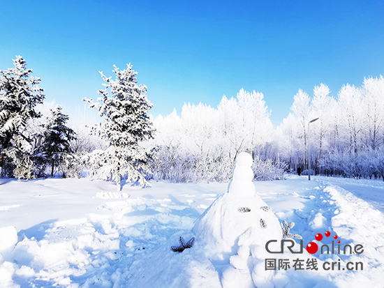 05【吉林原创】长春市伊通河畔现雾凇景观 银花绽放美如画