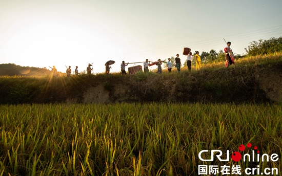 貴州天柱:小山村裏唱大戲 “文軍扶貧”注入脫貧攻堅內生力量