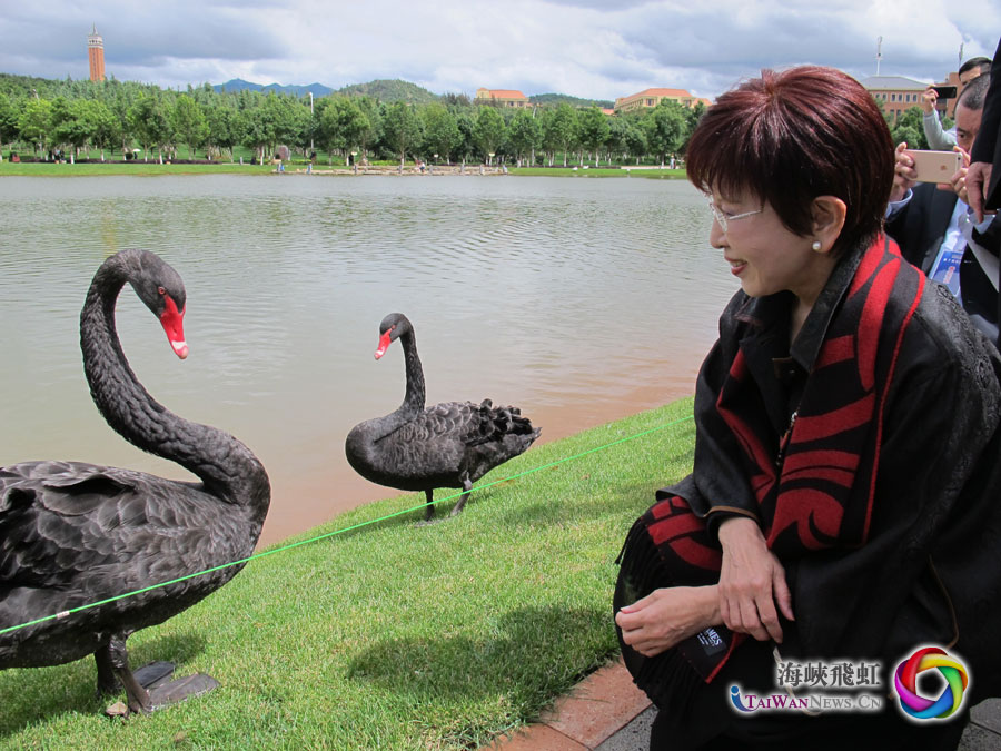 图片默认标题 图片默认标题_fororder_图3-柱姐亲切地对黑天鹅说,