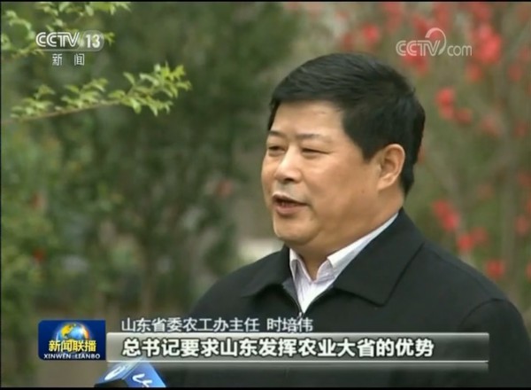 山东：打造乡村振兴的“齐鲁样板”