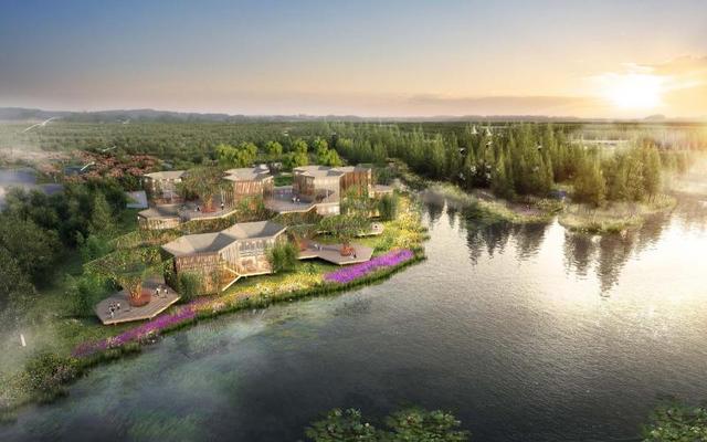 第十届中国花博会会花、会歌和会徽正式揭开面纱