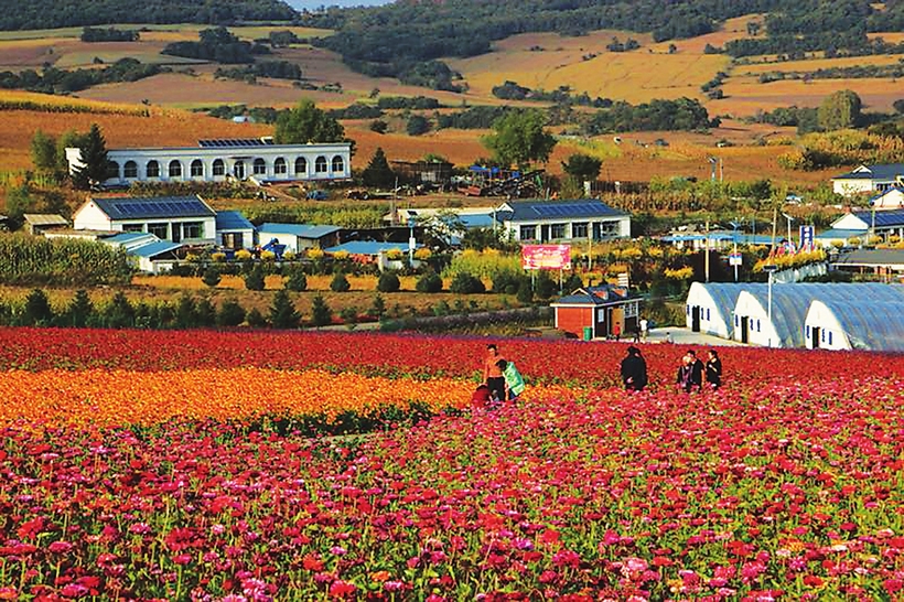 全国生态文化村敦化市小山村的产业嬗变之旅