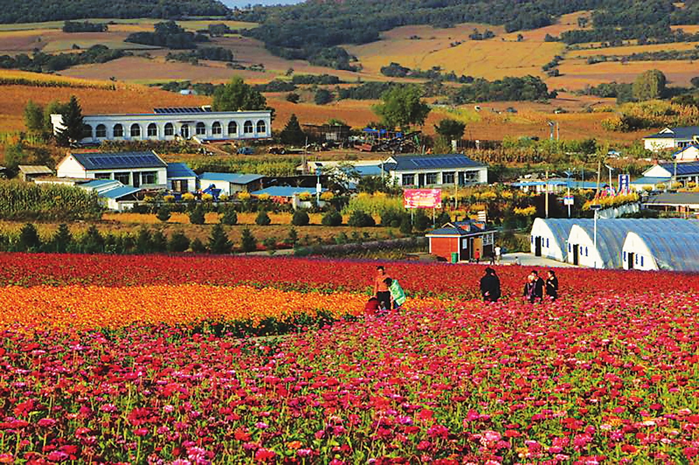 全國生態文化村敦化市小山村的産業嬗變之旅