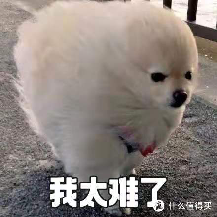 减重期的小心机，这份不怕胖的美食清单请收好