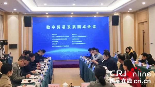 多名专家齐聚南宁 为广西数字贸易发展建言献策