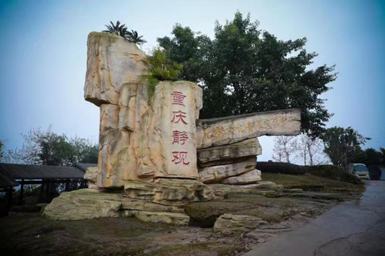 【聚焦重庆】第十七届蜡梅文化艺术节将在重庆北碚举行