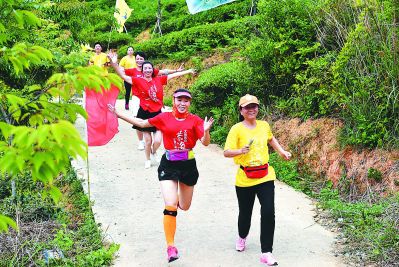 【茶业 主推】宁德大田县:茶旅融合 共促振兴 【茶业 主推】宁德大田县:茶旅融合 共促振兴