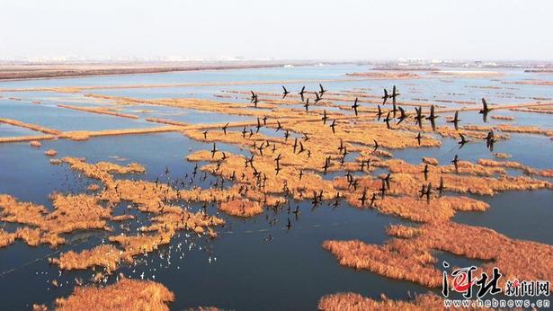 河北聚焦三大重点 保卫蓝天碧水净土