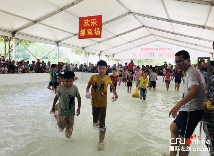 （加急）嘹歌唱响右江边 鸡猪混抓乐翻天 广西平果端午系列活动趣味纷呈