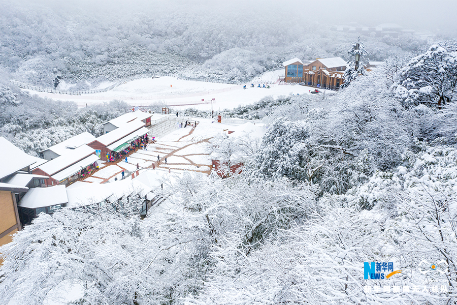 【渝情渝景】重庆金佛山：一场雪带来一个“童话世界”